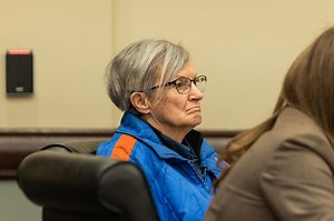 Fire expert speaks in defense of Karen Boes during evidentiary hearing