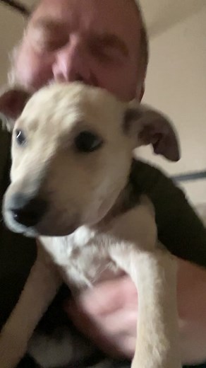 Heavy’s H.E.A.R.T. (@heavysheart)’s videos with original sound - Heavy’s H.E.A.R.T.