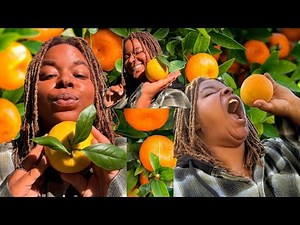 These Oranges Tried to Fight Back…