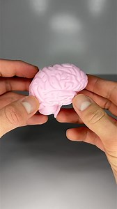 21K views · 10K reactions | 3D Printed Brain STL: https://makerworld.com/models/1128697 | MIND 2 MAKE | Facebook