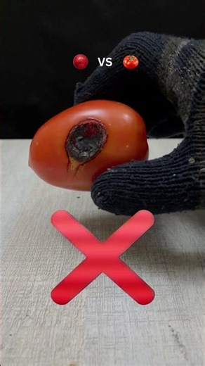 What happens when a 1000° Ball hits a Juicy Tomato? 😱