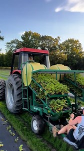 Hickory Ridge Farm on Reels