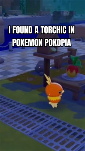 I Found Torchic in Pokémon Pokopia! 🔥🐥 #Shorts
