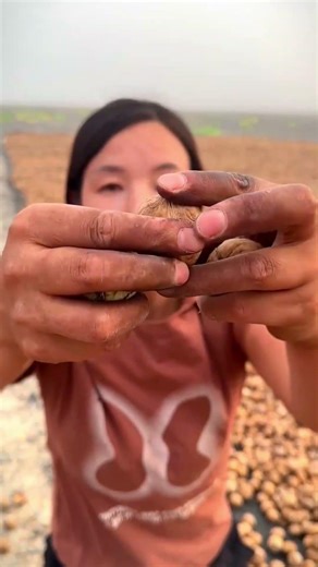 You Won’t Believe This Massive Walnut Harvest! 🌰