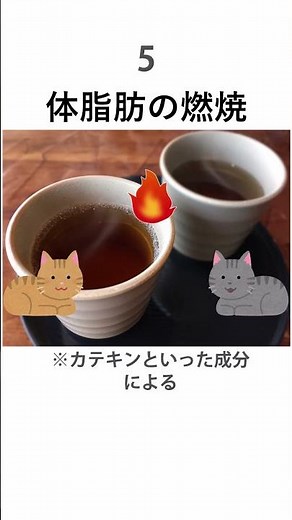 【ほっ】ほうじ茶の効能7選