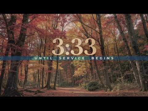 The New Testament Church - Live