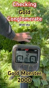 Checking Gold Conglomerate with the Gold Monster 2000 #metaldetecting #mining #metaldetector