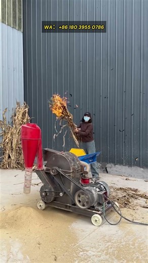 hay pulping machine, fresh hay silage pulping equipment, actual test results of sugarcane pulping