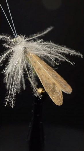 Rob’s Slow Water Caddis fly pattern. #flyfishing #flytying #dryfly #caddis