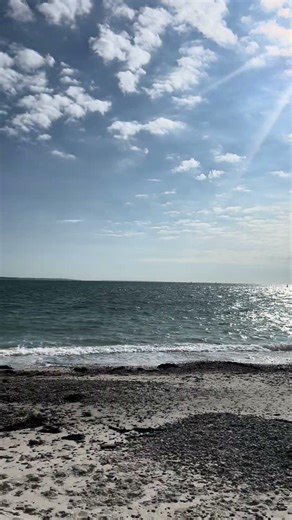 Springtime on the Cape!