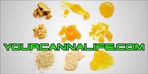 THC Extraction Facility. Behind the scenes. Potential clients should only contact us if you meet at least three of the following qualifications; a team with proven experience, have or able to invest at least 5 percent of the amount you're seeking, a license to operate has been achieved, revenue has been achieved, land ownership or lease agreement, equipment ownership, letters of intent / purchase agreements, a business plan and / or a pitch deck. Contact us: Website: yourcannalife.com Email: inf