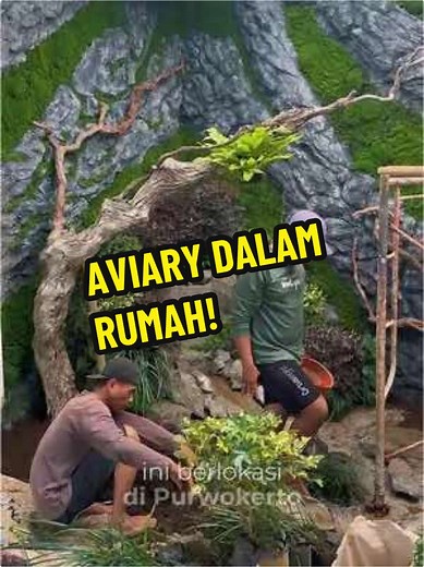 Membuat Aviary Mini yang Estetik di Rumah