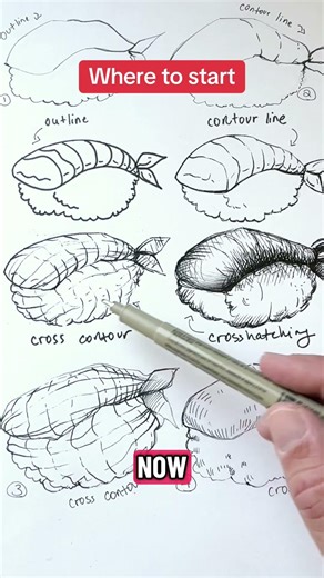 Starting drawing? Here’s what to start with as far as what to learn #howtodraw #pendrawing #drawing