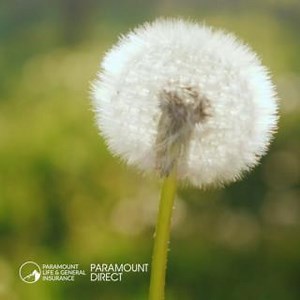 8 comments | Get the CTPL coverage you need conveniently at https://plgic.ph/CTPL | Paramount Life & General Insurance Corporation | Facebook