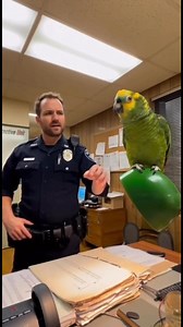 14K views · 374 reactions | Parrot & Cops – Karaoke Crime #parrot #cops #funnypets #funny #police #funnyvideos #talkingparrot #funnyreels #ParrotComedy #parrotroastingcops | Ronny Chieng Fan | Facebook