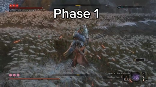 Sword Saint Isshin Full Moveset
