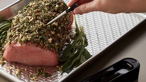 TAYLOR 5309295 Wireless Programmable Thermometer: Smart Cooking with App Control