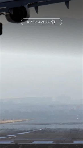 Star Alliance | Missed connections can be stressful. Every minute counts. Our Star Connection Services teams work behind the scenes with member airlines... | Instagram