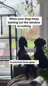 220 reactions · 13 comments | When your dog keeps barking out the...