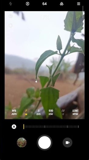 poco f3 gt camera pro mode tast you #tube# viral #shot #video