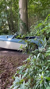 9.5K views · 189 reactions | 1962 Austin-Healey 3000 MKII This...