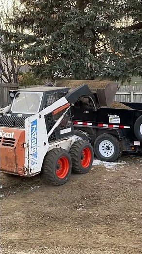 Bobcat skid steer