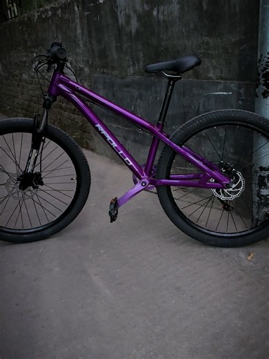 Custom Rpollo Purple Build for 28K at Imam Cycle Store