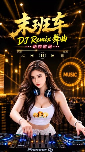 田园 《末班车》 DJ Remix｜经典中文舞曲🔥 #翻唱 #ktv字幕