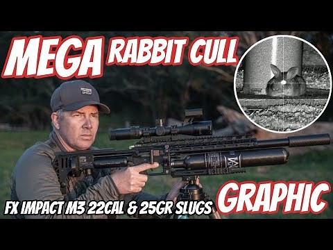 MEGA FX Impact M3 Rabbit Cull with Bonus Birds || My BIGGEST Night on the Bunnies || PCP Hunting