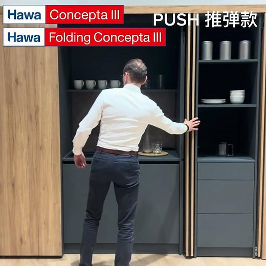 Hawa Concepta III PUSH 瑞士🇨🇭Hawa回旋移门 - 推弹款