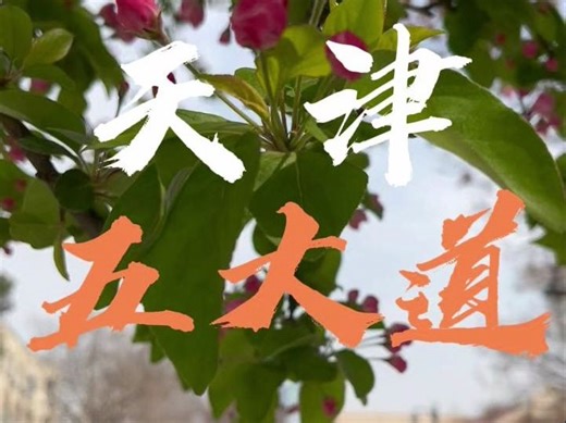 海棠花节逛五大道：天津五大道的景点、美食、历史故事