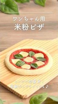 超簡単！レンジで作る犬用米粉ピザ🐶🍕 #shorts #犬用ご飯