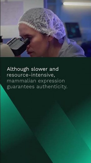Mammalian Expression: Why CHO/HEK293 Are the Gold Standard