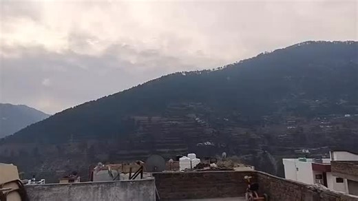 JKMEDIA on Instagram: "Doda Police Fo!led B0vine Smuggl!ng b!d; Rescued 06 B0vines. Request sent to ARTO for cancellation of DL/RC."