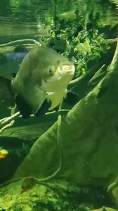 2.2K views · 53 reactions | During your next visit, make sure to look...