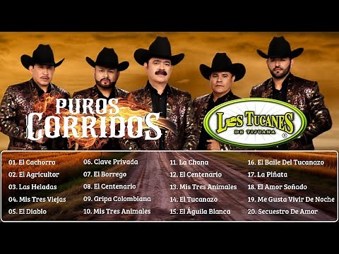 LOS TUCANES DE TIJUANA ALBUM COMPLETO - 2 HORA PUROS CORRIDOS 30 EXITOS MIX SUS MEJORES INOLVIDABLES