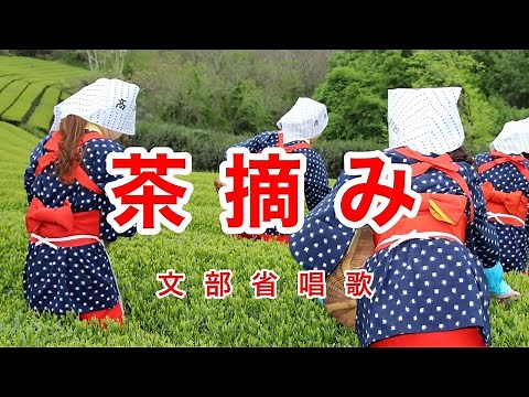 Traditional Japanese Songs｜Cha Tsumi “Tea Picking”