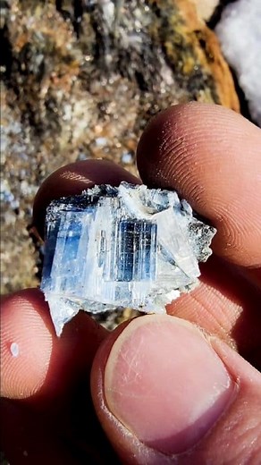 19 reactions | ‼️Ridiculous‼️ Deep Blue Kyanite Crystals of MA⛏️ . . . . . . . . . . . . . . . . . . . . #reels #reelsfb #fb #instagram #crystals #kyanite #nature #mining #rocks #thefinders #crystalhunt #fyp #awesome #epic #rockhound #crystalhunter #thefinders #amazing #beautiful #geology #Massachusetts #foryou #entertaining #foryoupage #quartz #crystalhunt #outdoors #gemstones | DiscoveringMinerals | Facebook