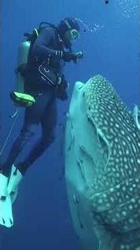 Weirdest Animal Eggs You’ve Never Seen 😱🥚 #Animals #Facts #Shorts