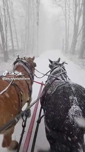 Jen Hewitt (@jen_highlandfarm)’s videos with Jingle Bell Rock (Cover) - Tatiana Ashborn