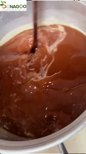 Formation intensive en transformation des fruits et légumes