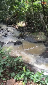 379K views · 7.3K reactions | Nature’s calm at its best Asenema Waterfalls, where gentle cascades meet pure serenity. #AsenemaWaterfalls #ExperienceGhana #waterfall #KayaToursGhana | Abeiku Santana | Facebook
