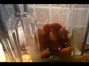 Home Chef | Avocado Smoothie made with Blendtec Blender | Sweet Georgia Sunrise