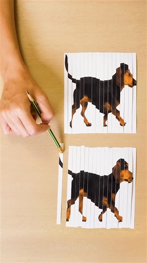 Woof-resh your brain with this illusion | 5-Minute Crafts