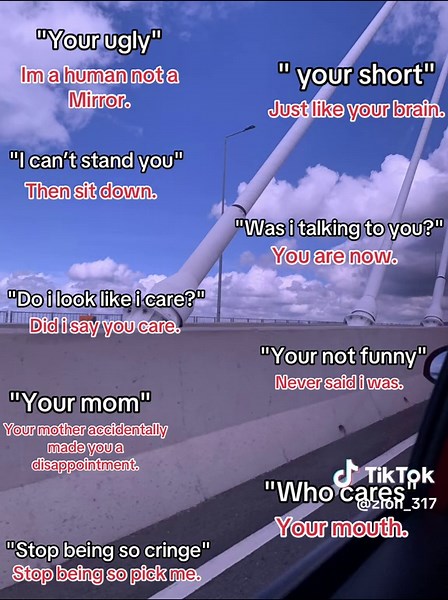 Exploring Human and Cat Mouth Transformations