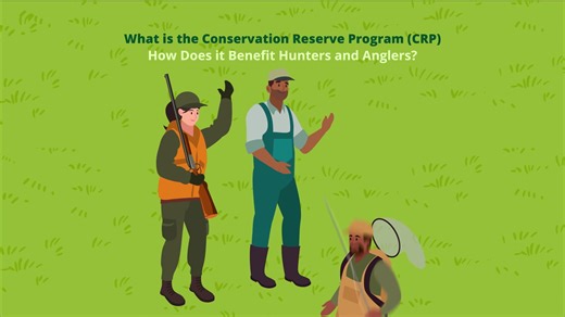 1.5K views · 15 reactions | Since its introduction in the 1985 Farm...