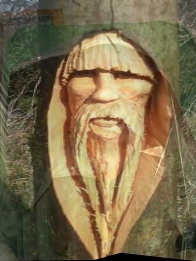 tree wizard morph 2 fantamorph practice