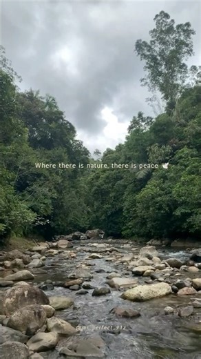 Where there is nature, there is peace 🕊️ | Rajid Shaikh | #shorts | #fypシ | #nature | #ytshorts