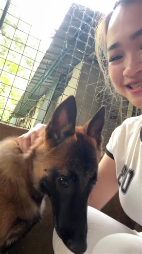 Rocky Begins His Training Journey