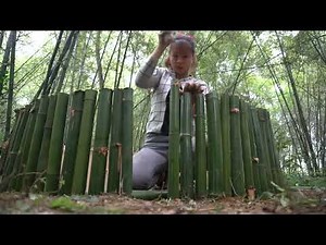 Building complete survival shelter ! Bushcraft earth hut, straw roof | Free bushcraft #52